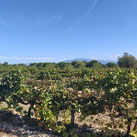 Willa Gite Dans Les Pins Avec Piscine Mazan Zewnętrze zdjęcie